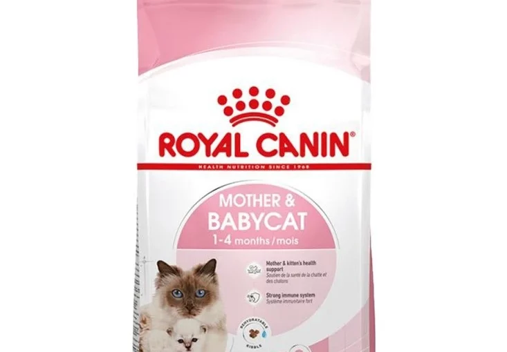 غذای خشک بچه گربه 1 تا 4 ماه و مادر باردار رویال کنین 2 کیلوگرم – Vitapoo Royal Canin