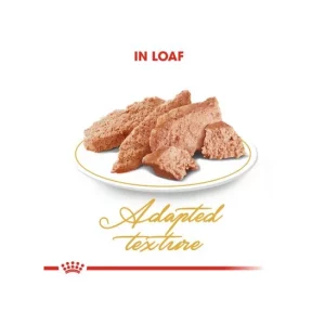 پوچ گربه بالغ پرشین رویال کنین ۸۵ گرم – Vitapoo