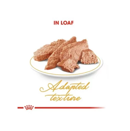 پوچ گربه بالغ پرشین رویال کنین ۸۵ گرم – Vitapoo